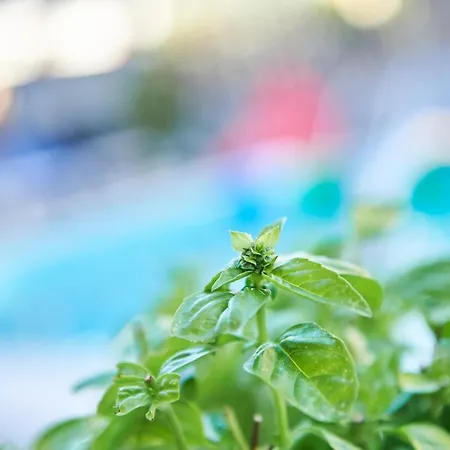 Hotel A Casa Nostra Rimini