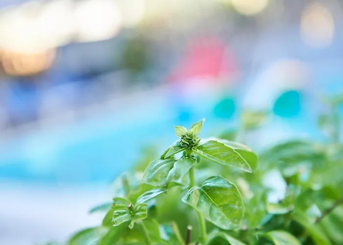 מלון A Casa Nostra רימיני